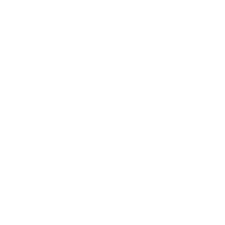 Free shipping for all products in the store!